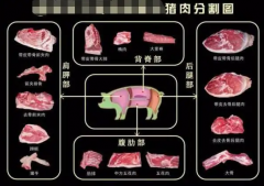 猪肉的部位名称图(猪肉的部位名称图片)