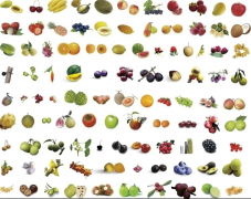 100种水果名称