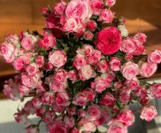 多头玫瑰的花语和寓意？