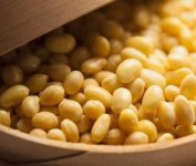 黄豆制作肥料的正确方法