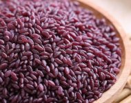 紫米怎么种植？