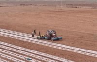 4月8日新疆库车：科技种植助力农业提质增效